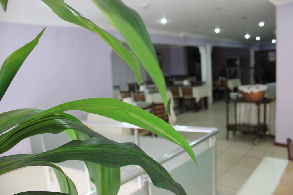 Nazar Hotel Трабзон Экстерьер фото